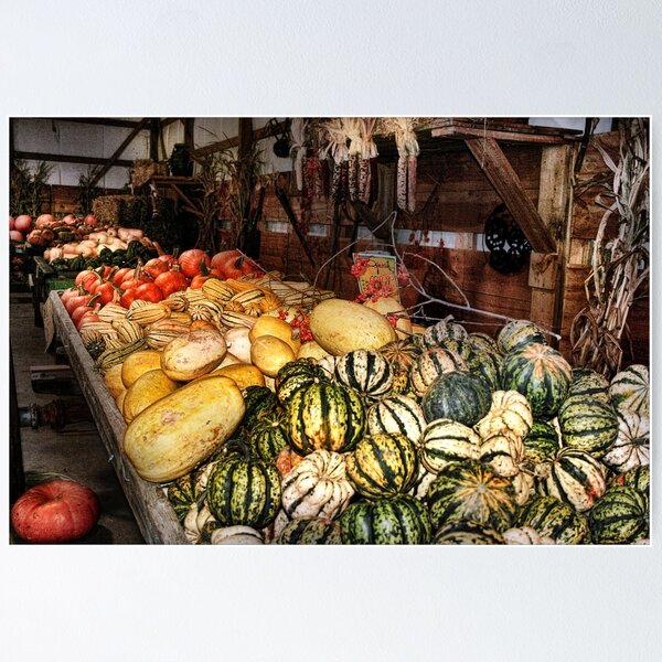 Item preview, Autumn's Bounty designed and sold by Claude Johnson.