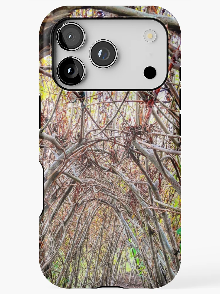 Thumbnail 1 of 4, iPhone Case, Random Captures R103f designed and sold by Hyperion Photoart.