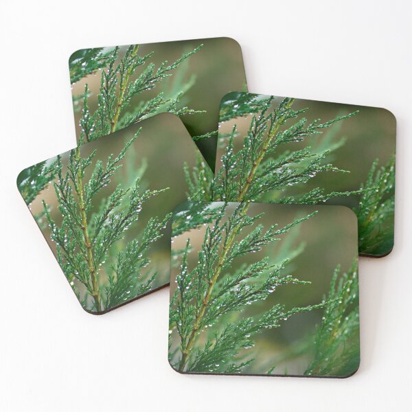 Item preview, Juniperus Under the Rain designed and sold by Yannik Hay.