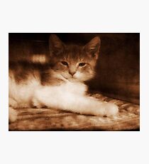 Precious © Photographic Print