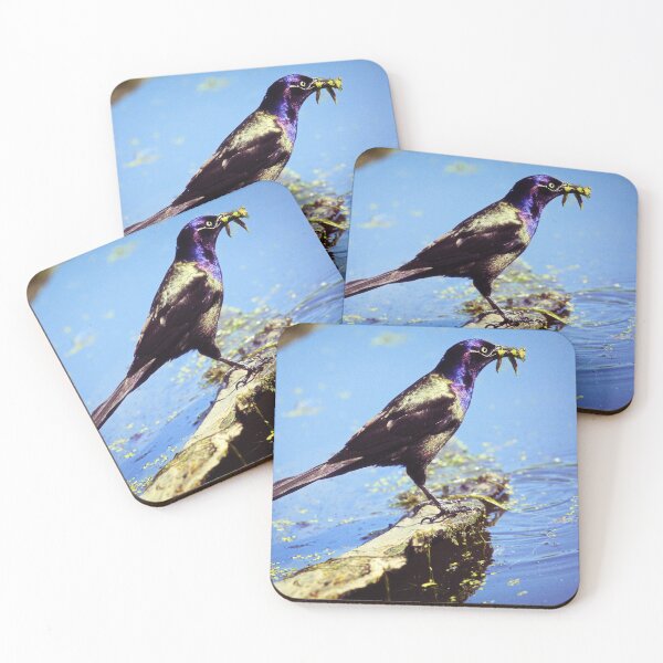 Item preview, Common Grackle designed and sold by Yannik Hay.