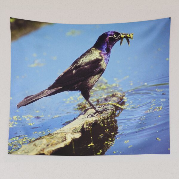 Item preview, Common Grackle designed and sold by Yannik Hay.