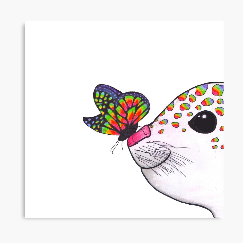 "Rainbow Seal and Butterfly" Canvas Print by catghoststories Redbubble