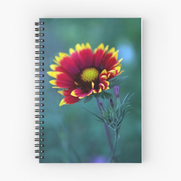 Item preview, Firewheel  designed and sold by Jessica Jenney.