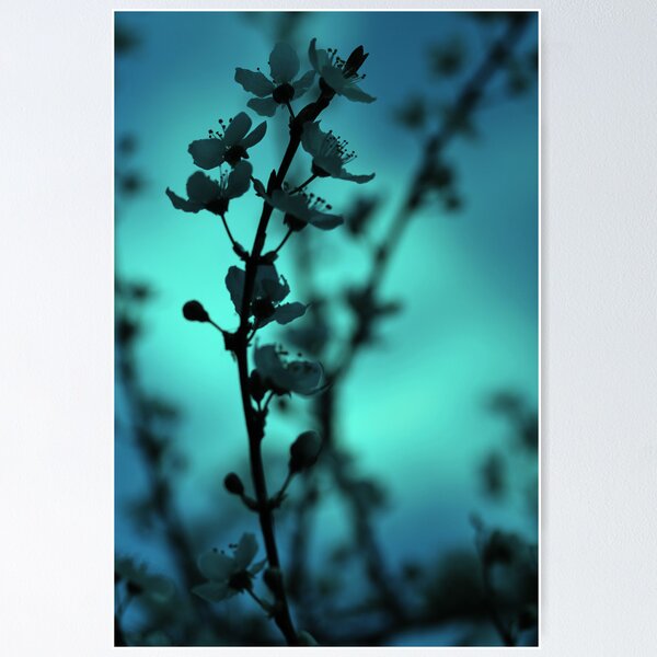 Item preview, Blossom Blur designed and sold by Jocelyn  Parry-Jones.