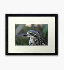 Bush Thick Knee Framed Print