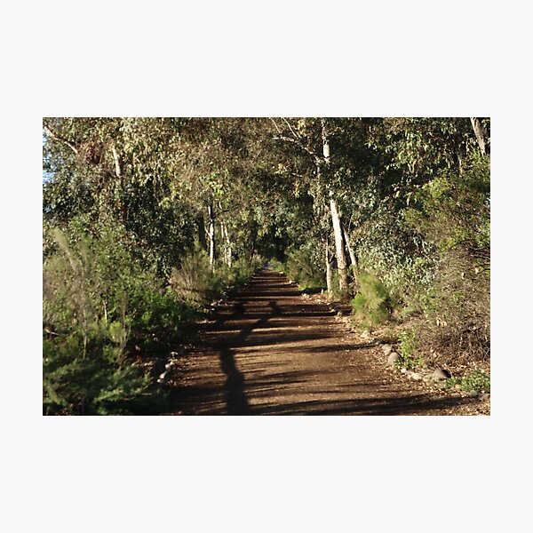 Path for Possibilities Photographic Print