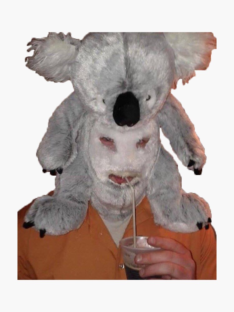 "Koala Guy" Sticker by WalrusPatty Redbubble