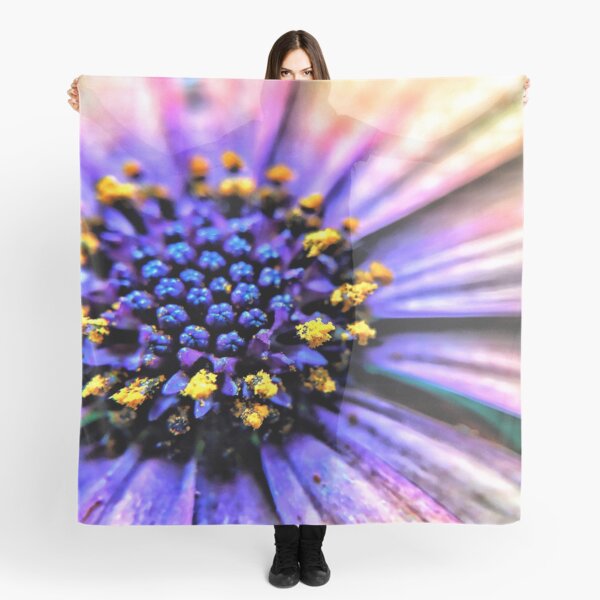 bursting indigo osteospermum flower Scarf