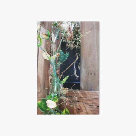 Clematis Vines, Nature Photography by Courtney Hatcher Art Board Print
