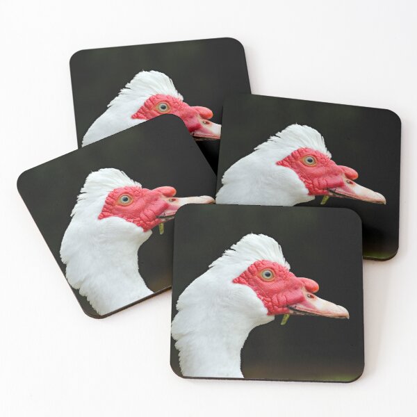 Item preview, © Muscovy duck designed and sold by GeoPipics.