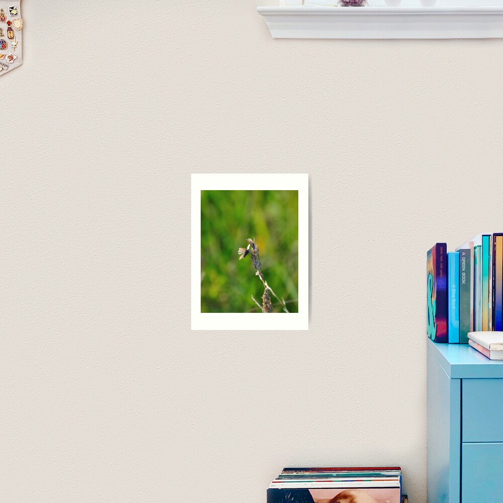 Item preview, Art Print designed and sold by pauleden.