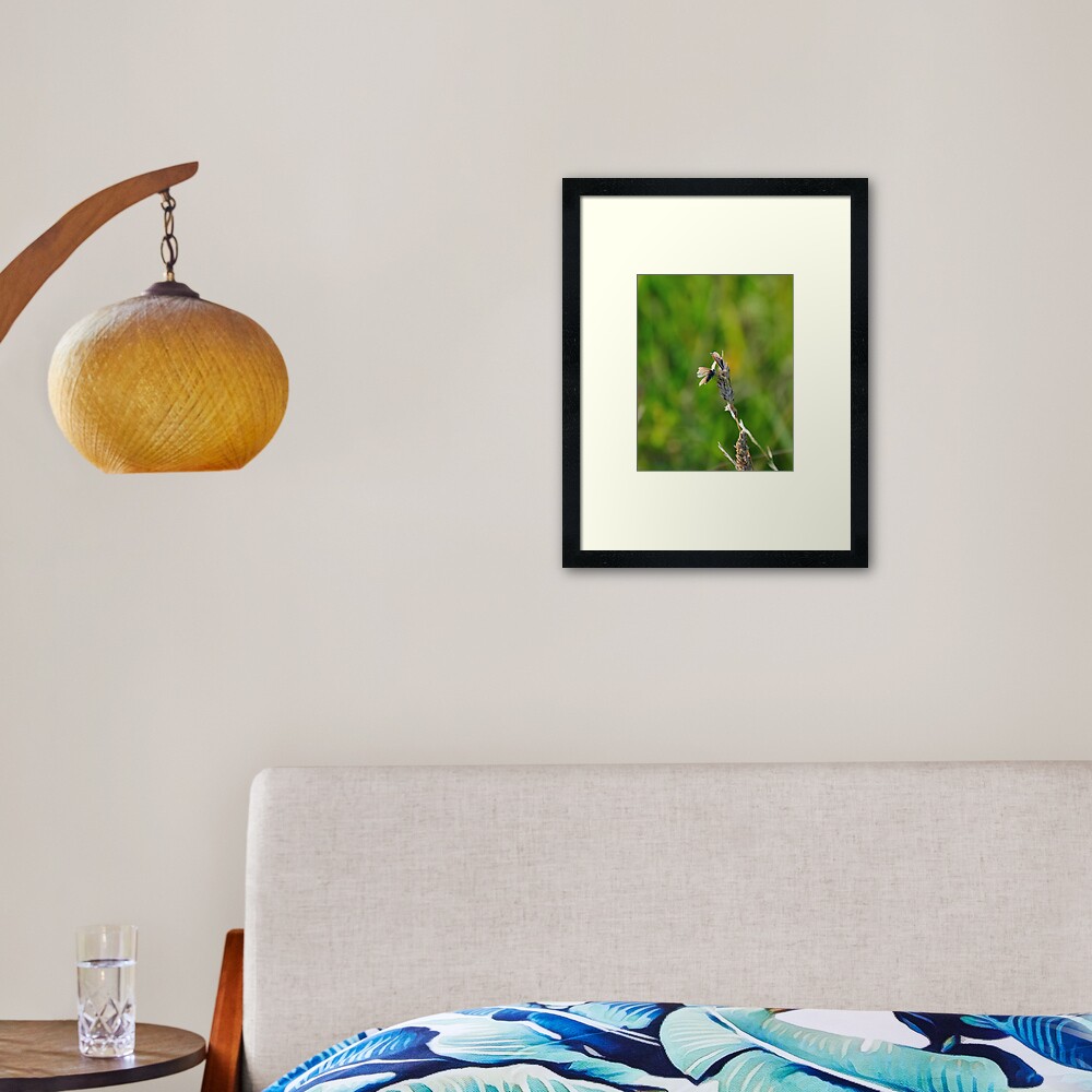Item preview, Framed Art Print designed and sold by pauleden.