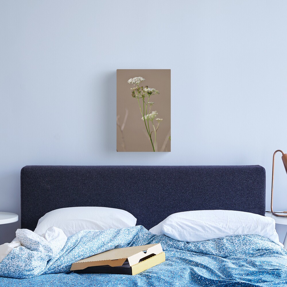 Untitled Canvas Print