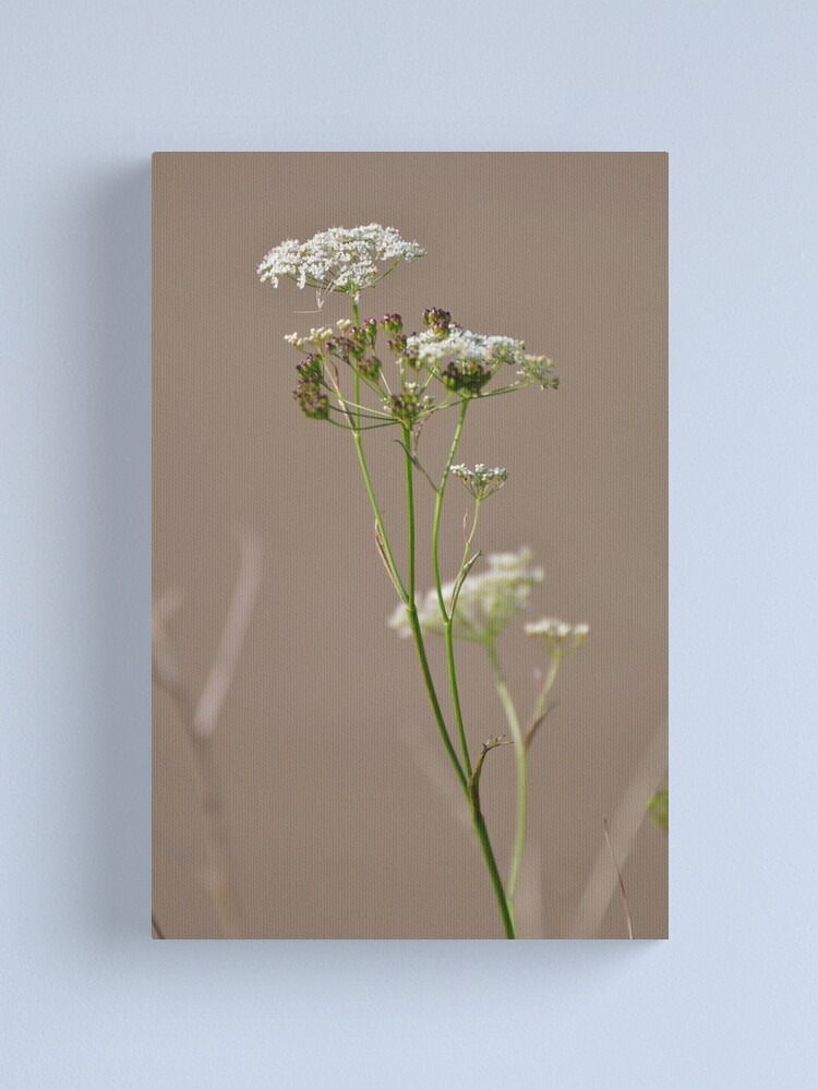 Alternate view of Untitled Canvas Print