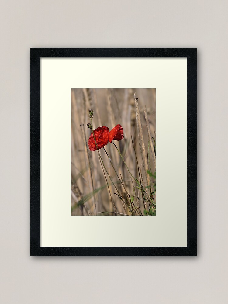 Alternate view of Poppy In Field Framed Art Print