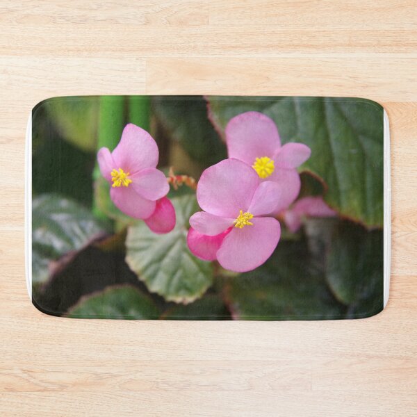 Aperçu de l'œuvre Gloire de Sceaux Begonia créée et vendue par The Botanical Jason.