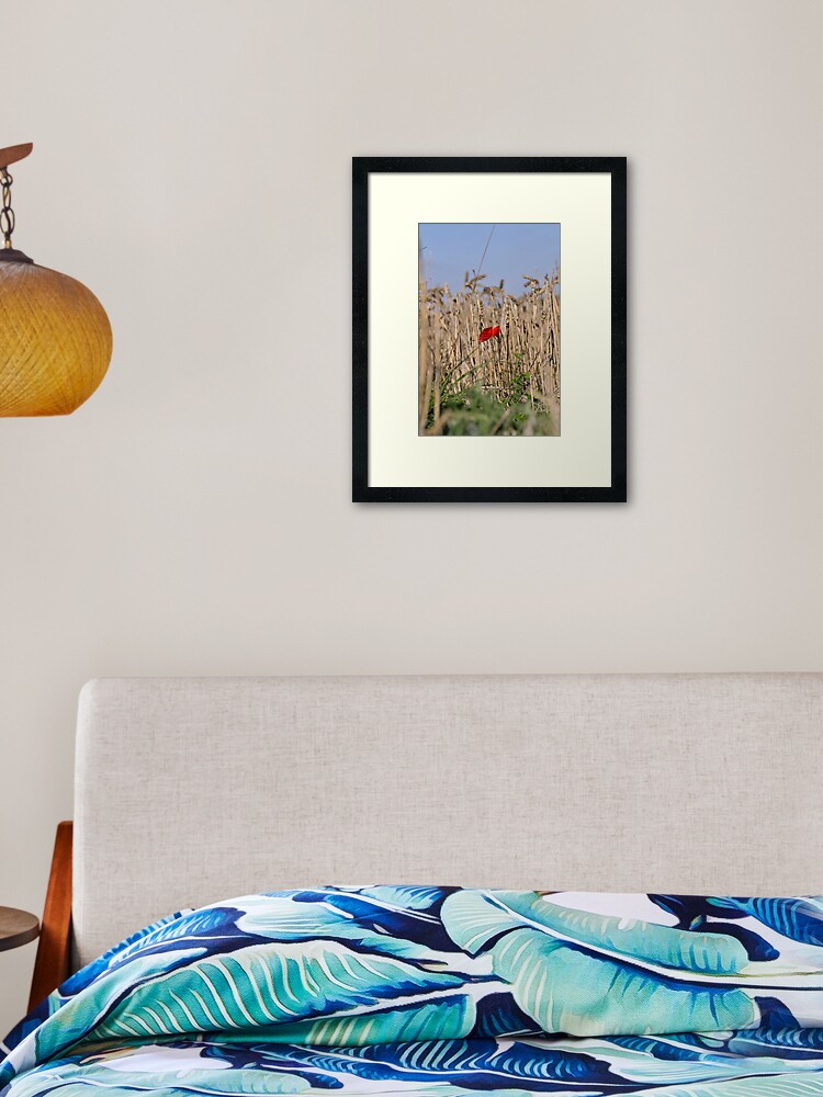 Thumbnail 1 of 7, Framed Art Print, Poppy In Field #2 designed and sold by Paul Eden.