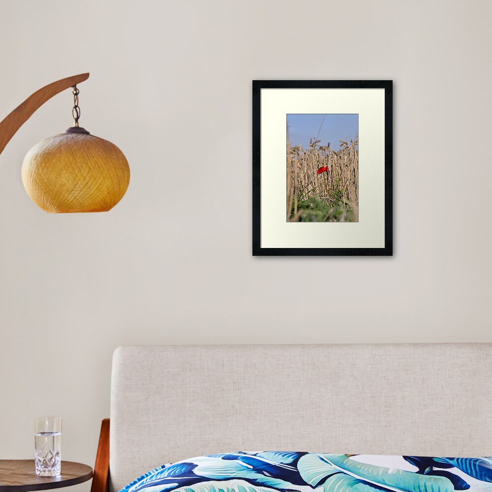 Poppy In Field #2 Framed Art Print