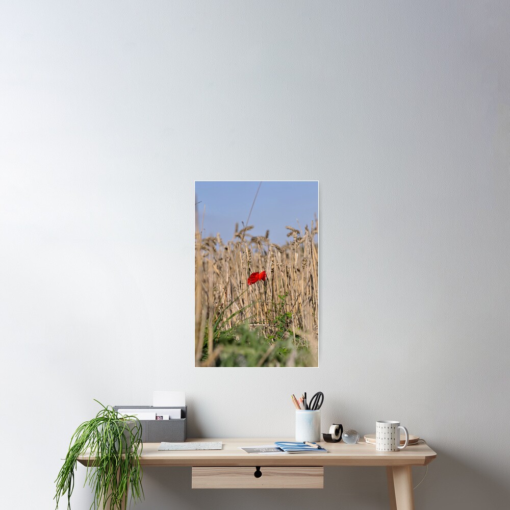Item preview, Poster designed and sold by pauleden.