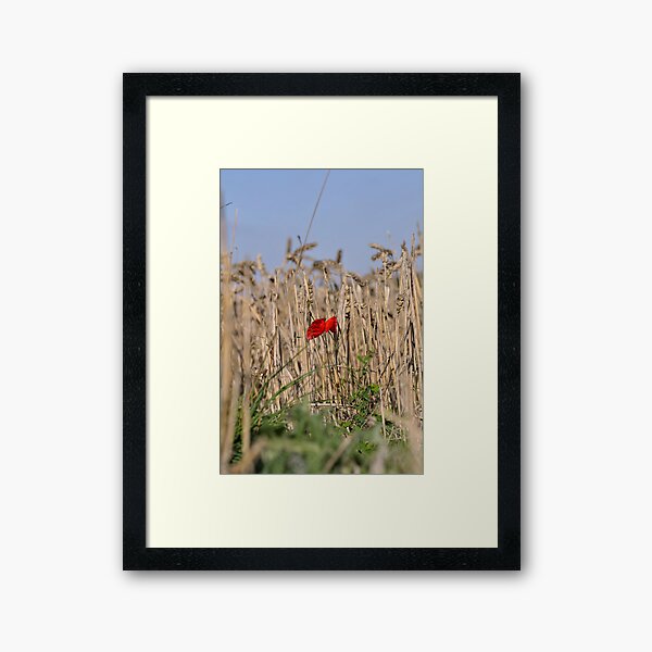 Framed Art Print