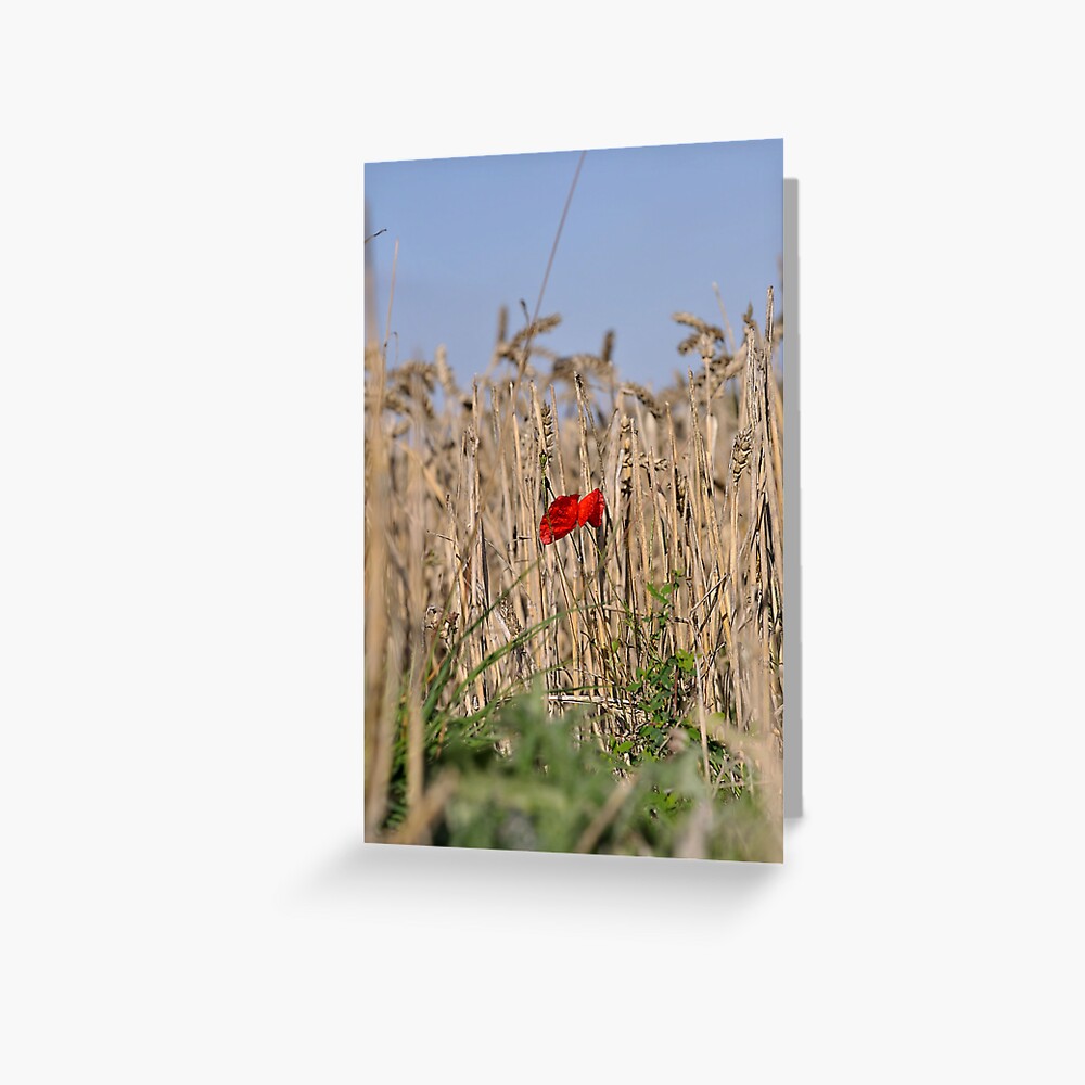 Item preview, Greeting Card designed and sold by pauleden.