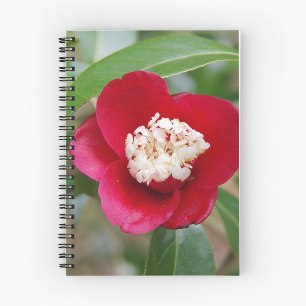 Item preview, Gakkou Camellia designed and sold by The Botanical Jason.