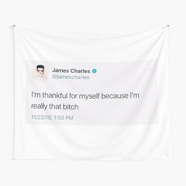 James Charles Tweet Tapestry