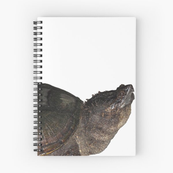 Item preview, Snapping Turtle designed and sold by Photosinic.