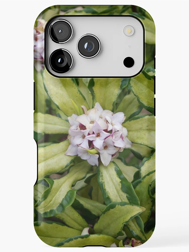 Thumbnail 1 of 4, iPhone Case, Fragrant Daphne designed and sold by The Botanical Jason.