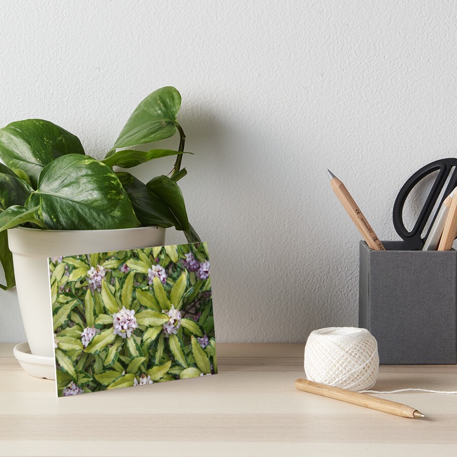 Item preview, Art Board Print designed and sold by BotanicalJesus.