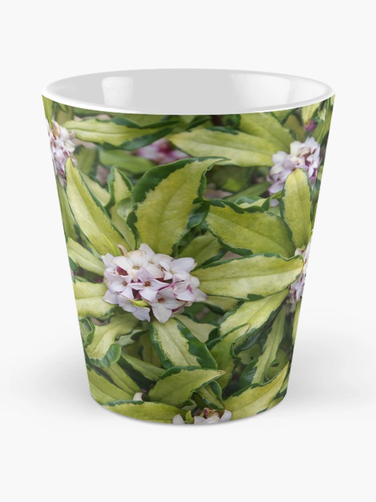 Thumbnail 2 of 4, Coffee Mug, Fragrant Daphne designed and sold by The Botanical Jason.