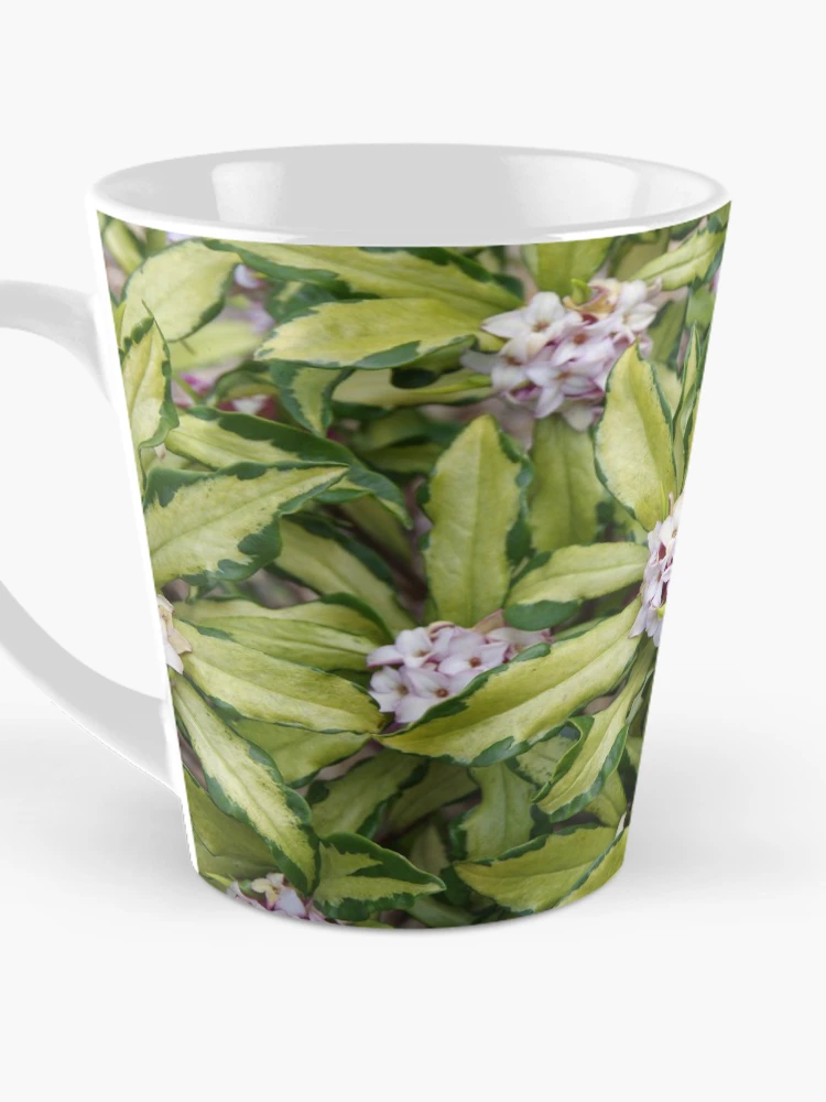 Thumbnail 3 of 4, Coffee Mug, Fragrant Daphne designed and sold by The Botanical Jason.