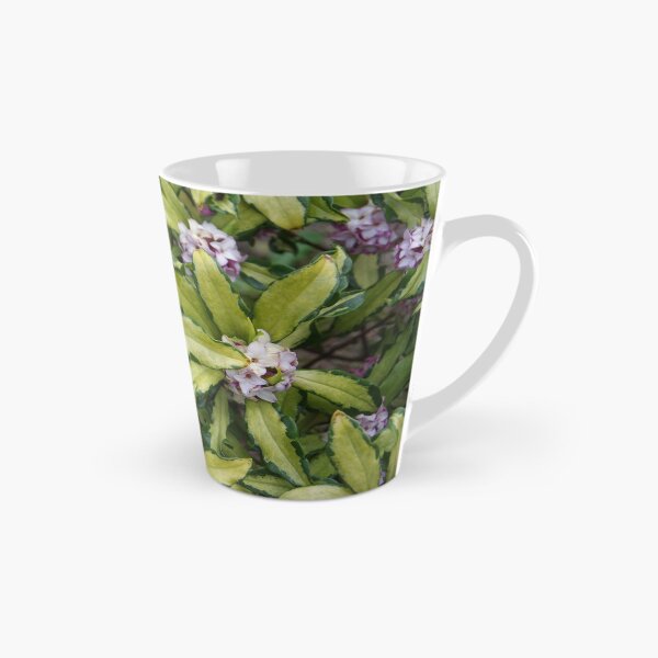 Item preview, Fragrant Daphne designed and sold by The Botanical Jason.