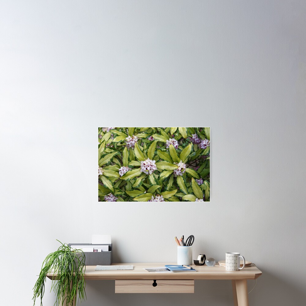 Item preview, Poster designed and sold by BotanicalJesus.