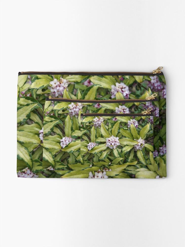 Thumbnail 2 of 4, Zipper Pouch, Fragrant Daphne designed and sold by BotanicalJesus.