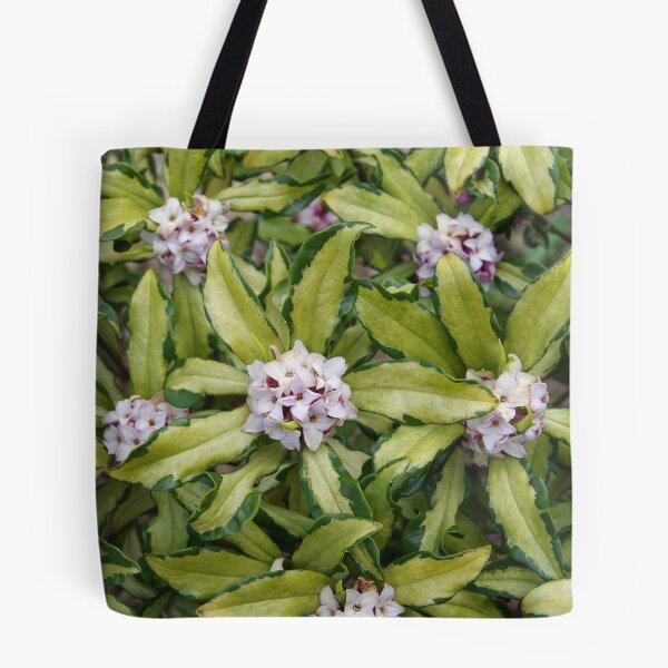 Item preview, Fragrant Daphne designed and sold by The Botanical Jason.