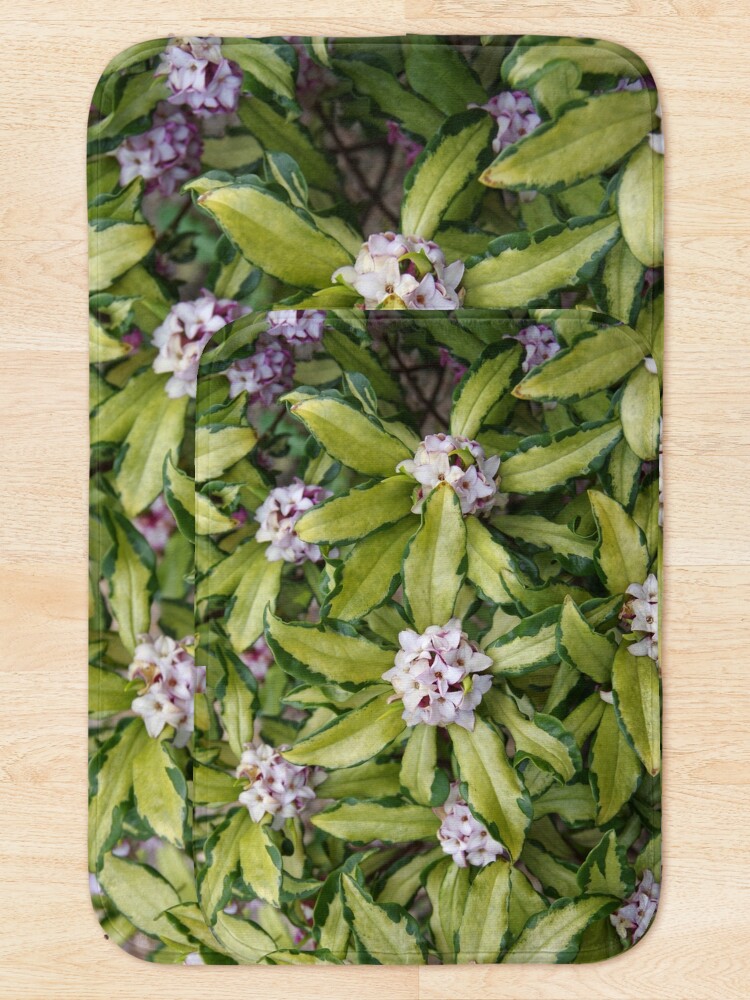 Thumbnail 5 of 6, Bath Mat, Fragrant Daphne designed and sold by BotanicalJesus.