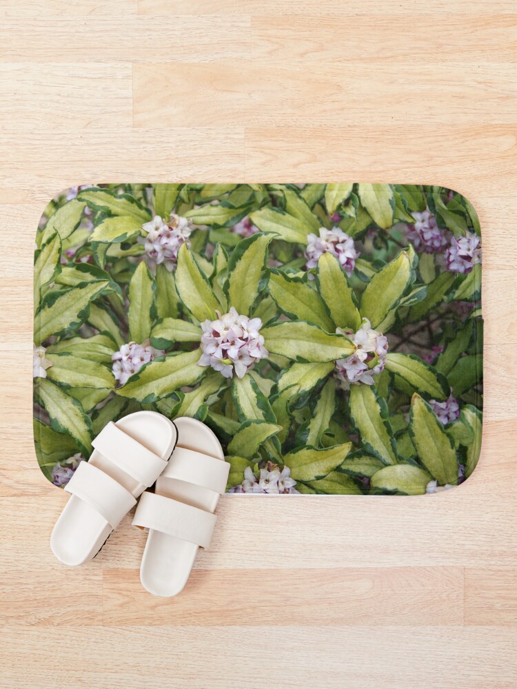 Thumbnail 1 of 6, Bath Mat, Fragrant Daphne designed and sold by BotanicalJesus.