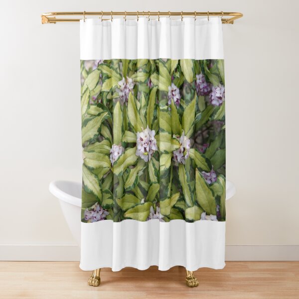 Item preview, Fragrant Daphne designed and sold by The Botanical Jason.