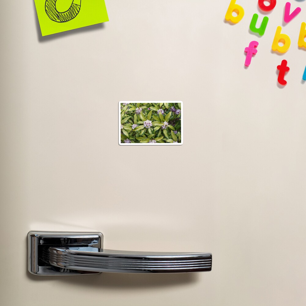 Item preview, Magnet designed and sold by BotanicalJesus.