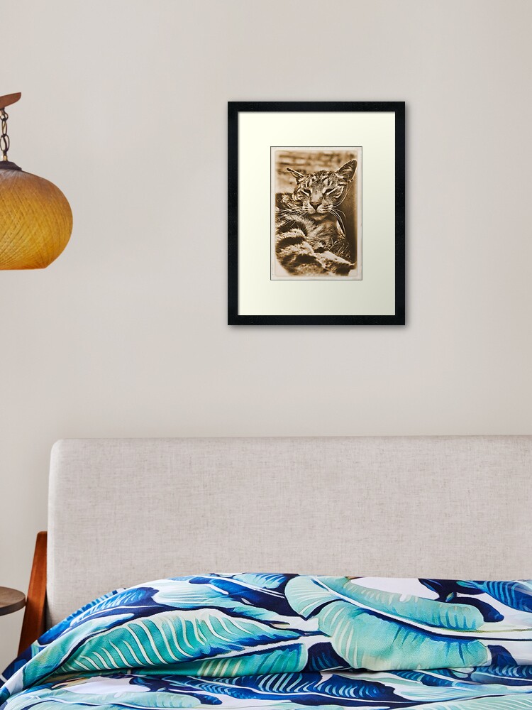 Thumbnail 1 of 7, Framed Art Print, I Kneed an Older Pillow designed and sold by Paul Eden.