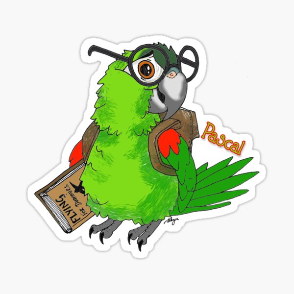 Pascal the Hahns Macaw  Sticker