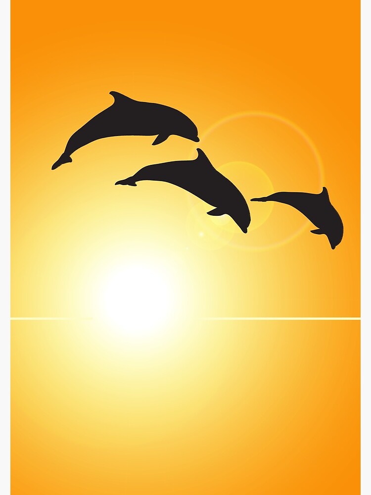 Dolphin Silhouette by DolphinPod