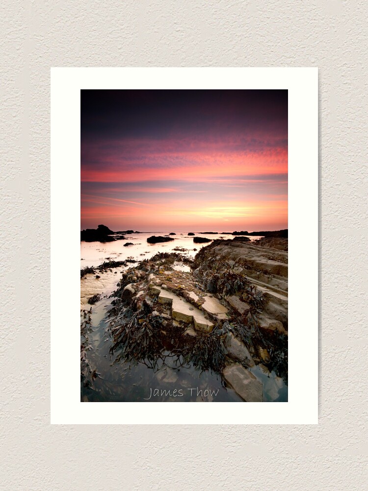 Alternate view of Patio Art Print