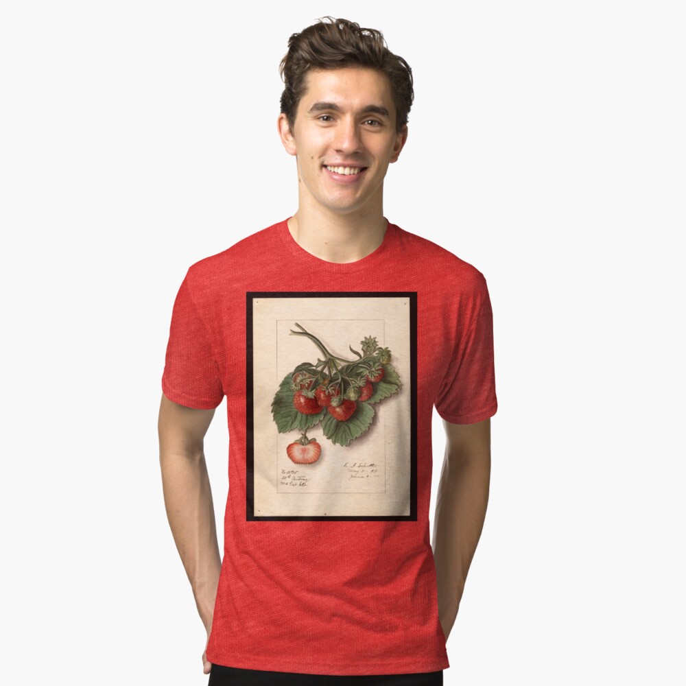 Vintage Strawberries Tri-blend T-Shirt