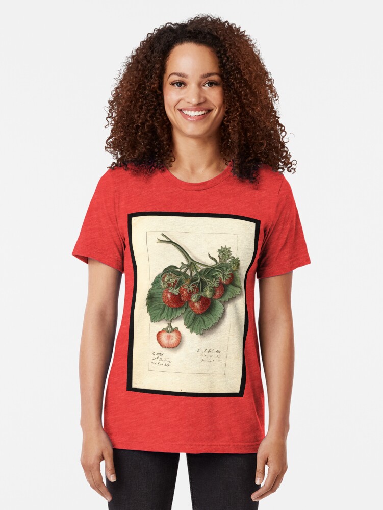 Alternate view of Vintage Strawberries Tri-blend T-Shirt