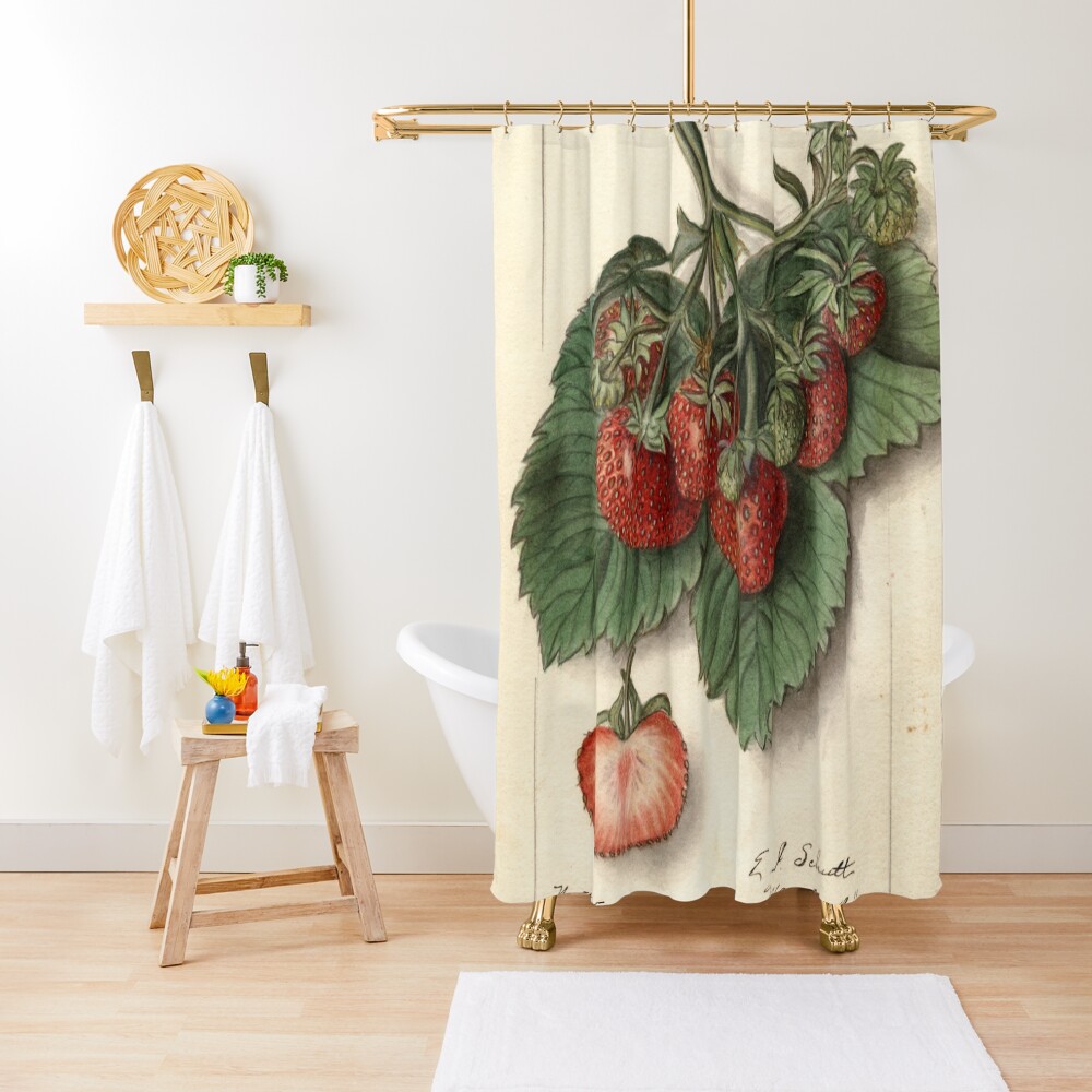 Vintage Strawberries Shower Curtain