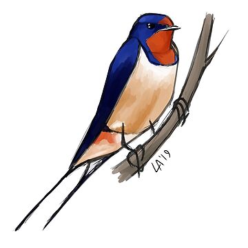 Artwork thumbnail, Barn Swallow by addamay123