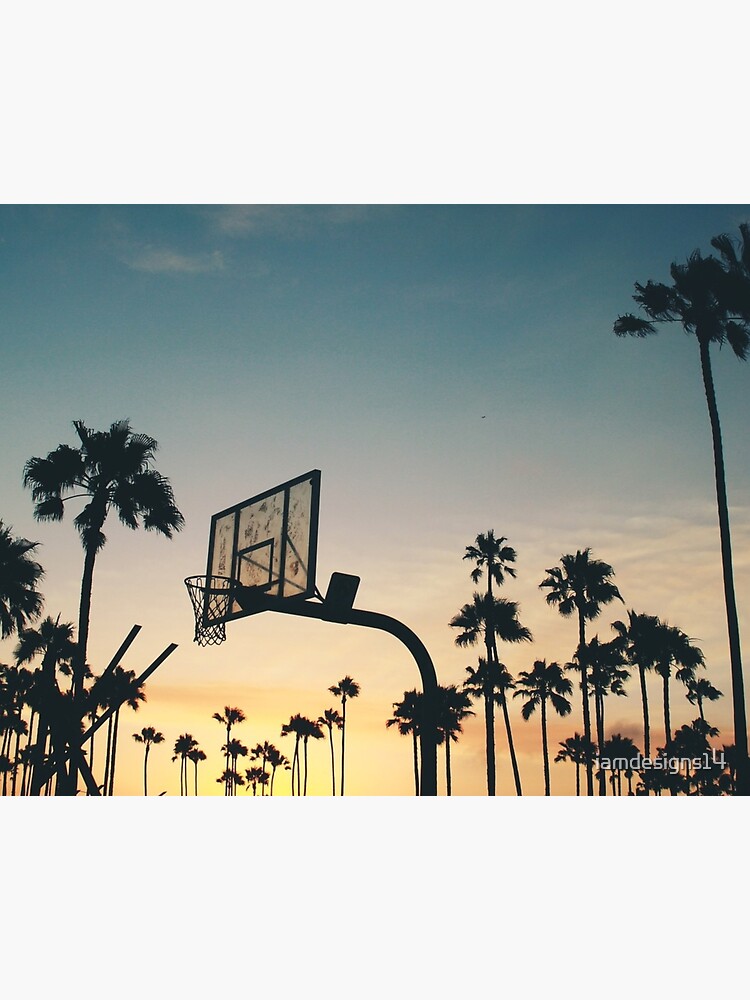 Disover Basketball, Sunset And Palm Trees Premium Matte Vertical Poster